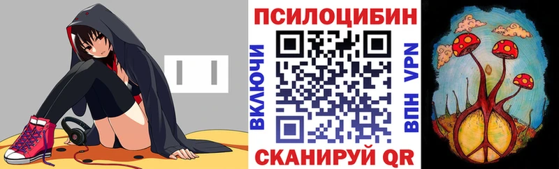 как найти закладки  мега зеркало  Галлюциногенные грибы мицелий  Староминская 